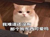 镇江童邦教育科技有限公司
