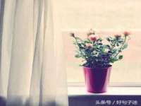 镇江童邦教育科技有限公司