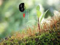 镇江童邦教育科技有限公司