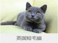 镇江童邦教育科技有限公司