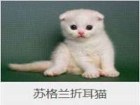 镇江童邦教育科技有限公司