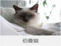 镇江童邦教育科技有限公司