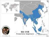 镇江童邦教育科技有限公司