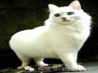 镇江童邦教育科技有限公司