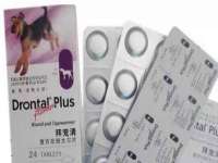 镇江童邦教育科技有限公司