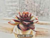 镇江童邦教育科技有限公司