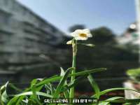 镇江童邦教育科技有限公司