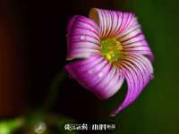 镇江童邦教育科技有限公司