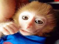 镇江童邦教育科技有限公司