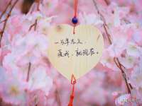 镇江童邦教育科技有限公司