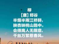 镇江童邦教育科技有限公司