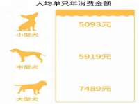 镇江童邦教育科技有限公司