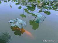 镇江童邦教育科技有限公司