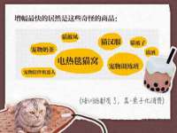 镇江童邦教育科技有限公司