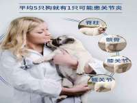 镇江童邦教育科技有限公司