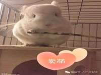 镇江童邦教育科技有限公司