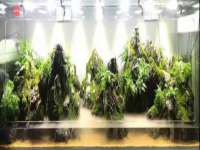镇江童邦教育科技有限公司