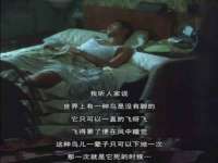 镇江童邦教育科技有限公司