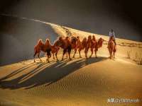 镇江童邦教育科技有限公司