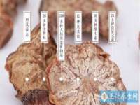 镇江童邦教育科技有限公司