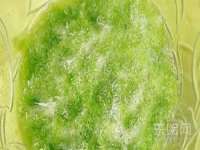 镇江童邦教育科技有限公司