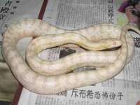镇江童邦教育科技有限公司